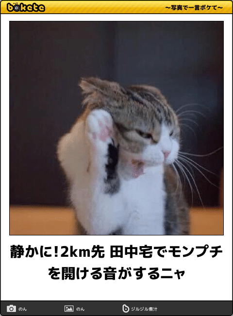 boketeで1000コメ以上を目指そう！！Part3