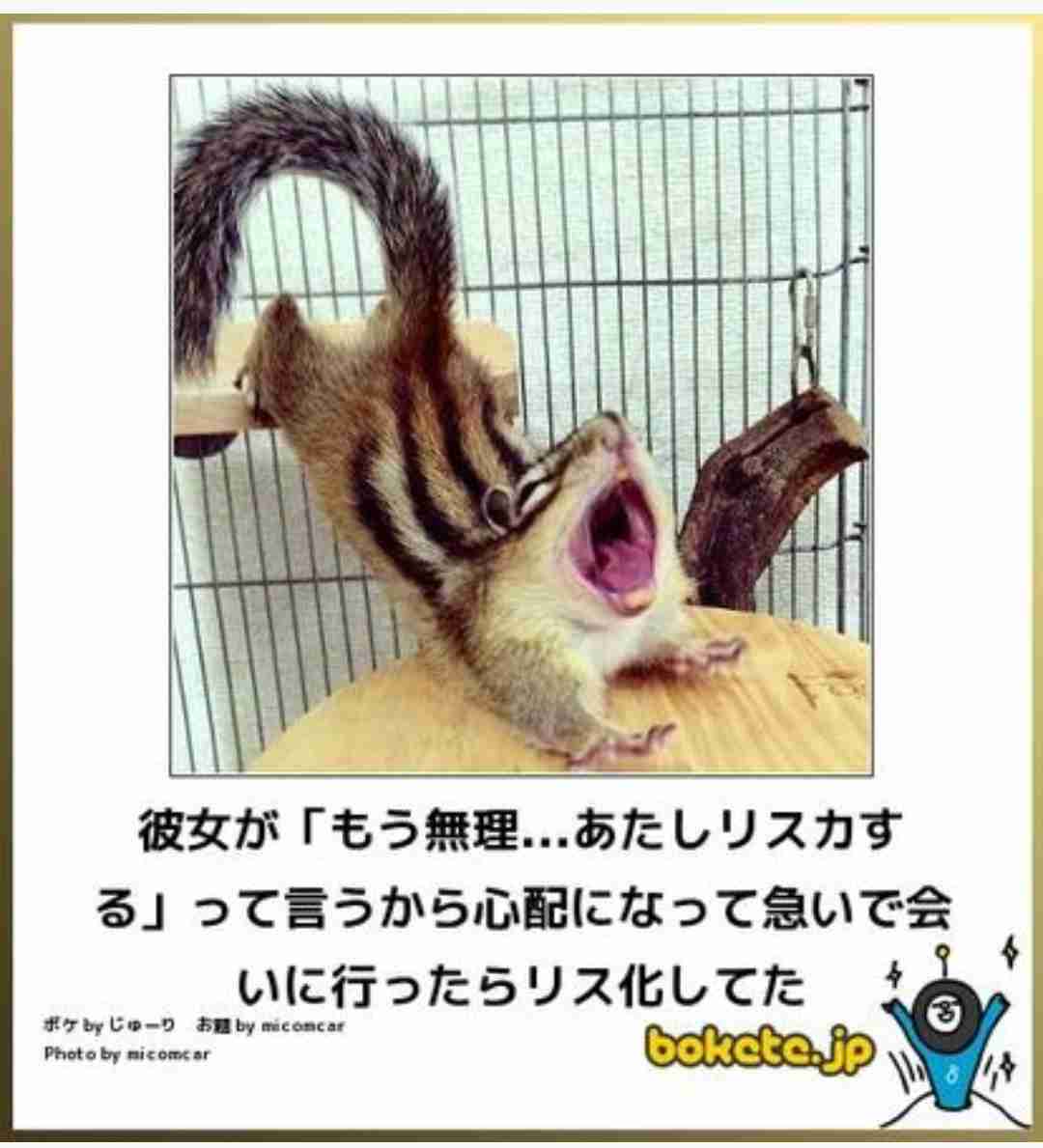 boketeで1000コメ以上を目指そう！！Part3