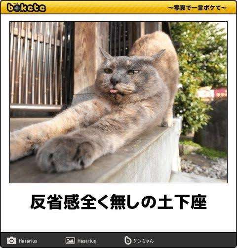 boketeで1000コメ以上を目指そう！！Part3