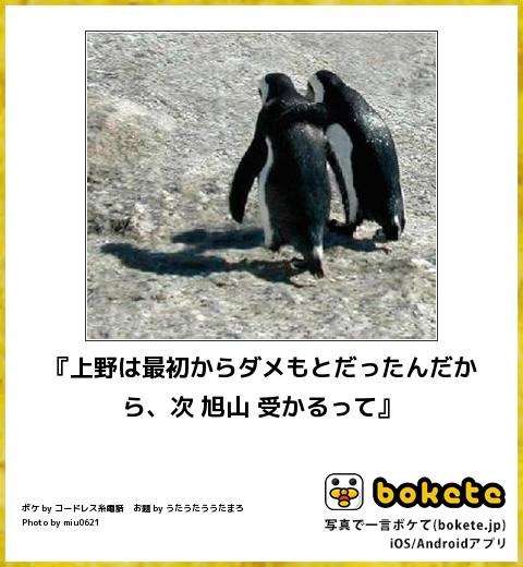 boketeで1000コメ以上を目指そう！！Part3