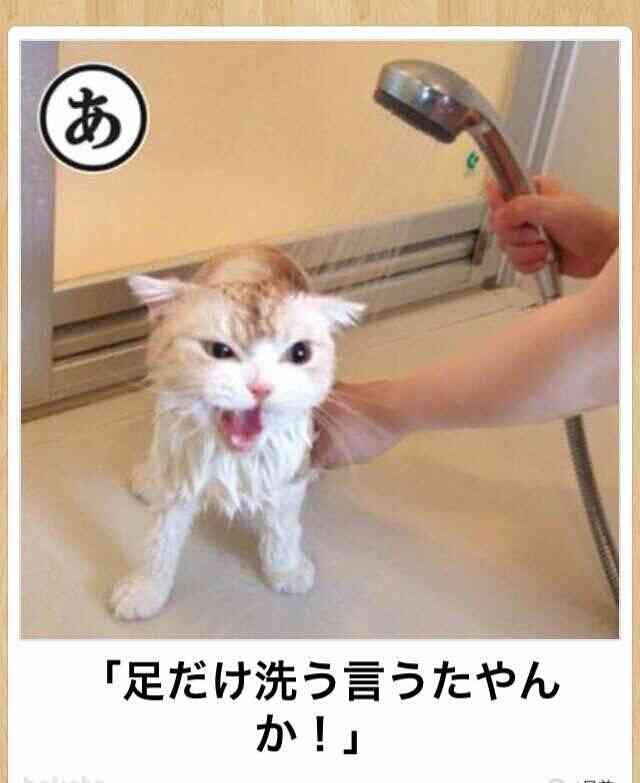boketeで1000コメ以上を目指そう！！Part3
