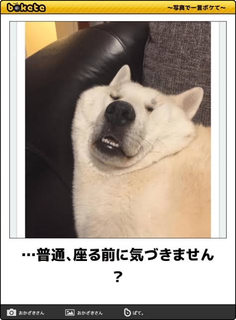 boketeで1000コメ以上を目指そう！！Part3