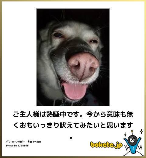 boketeで1000コメ以上を目指そう！！Part3