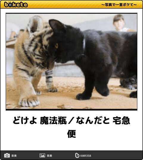 boketeで1000コメ以上を目指そう！！Part3