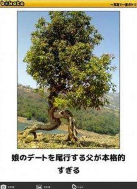 boketeで1000コメ以上を目指そう！！Part3