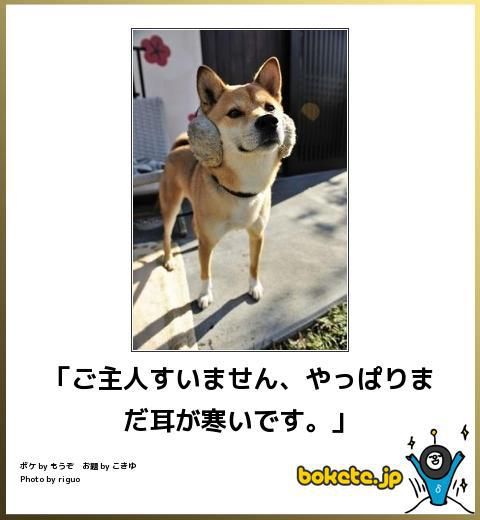 boketeで1000コメ以上を目指そう！！Part3