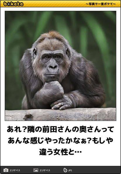 boketeで1000コメ以上を目指そう！！Part3