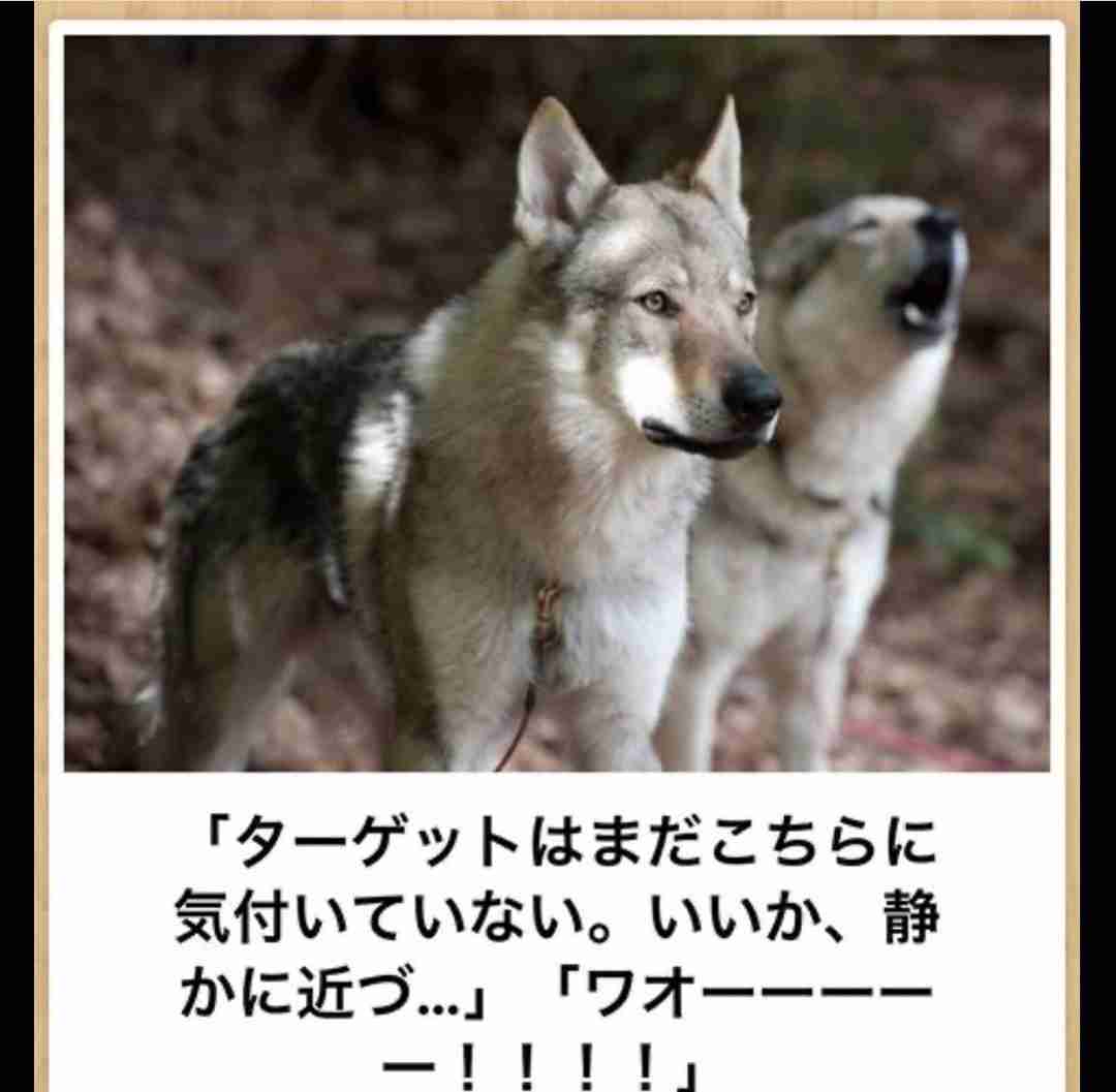 boketeで1000コメ以上を目指そう！！Part3