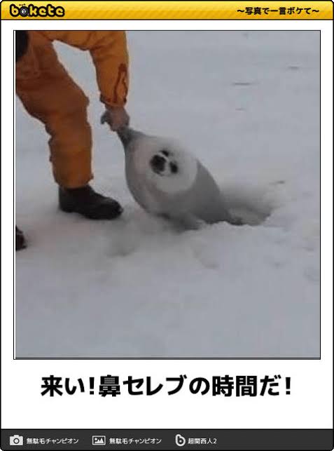 boketeで1000コメ以上を目指そう！！Part3