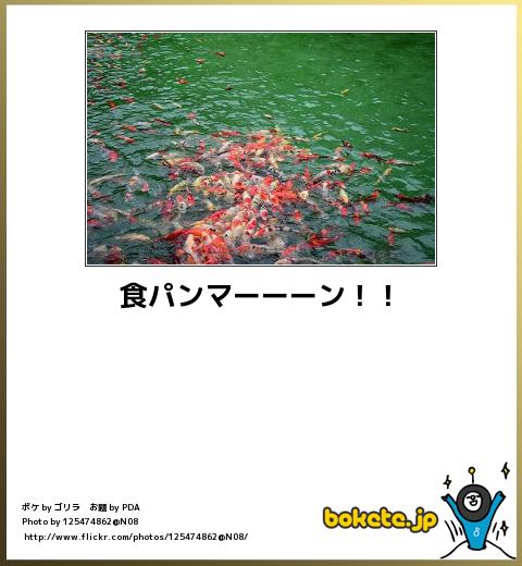 boketeで1000コメ以上を目指そう！！Part3