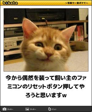 boketeで1000コメ以上を目指そう！！Part3