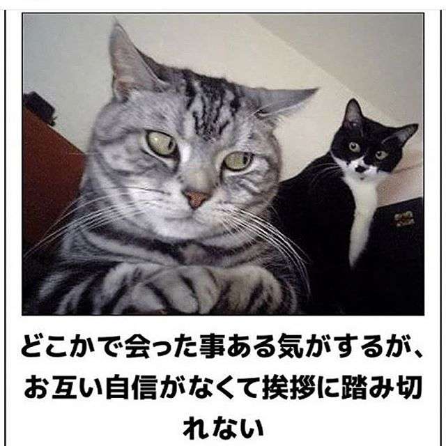 boketeで1000コメ以上を目指そう！！Part3