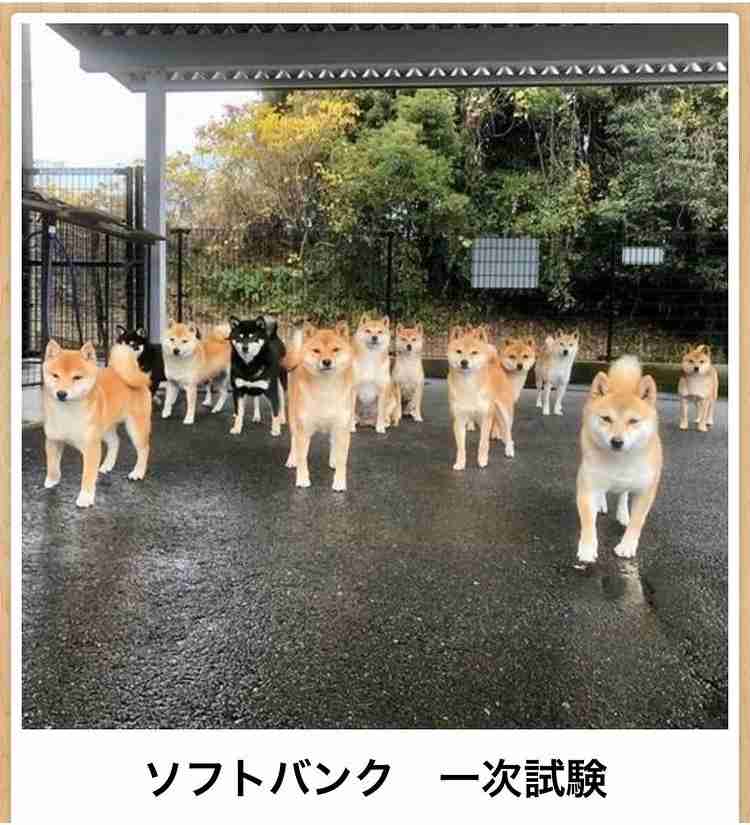 boketeで1000コメ以上を目指そう！！Part3