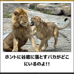 boketeで1000コメ以上を目指そう！！Part3