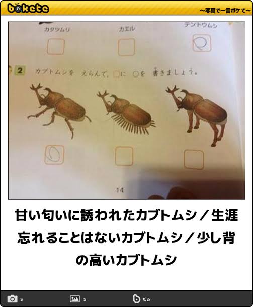 boketeで1000コメ以上を目指そう！！Part3