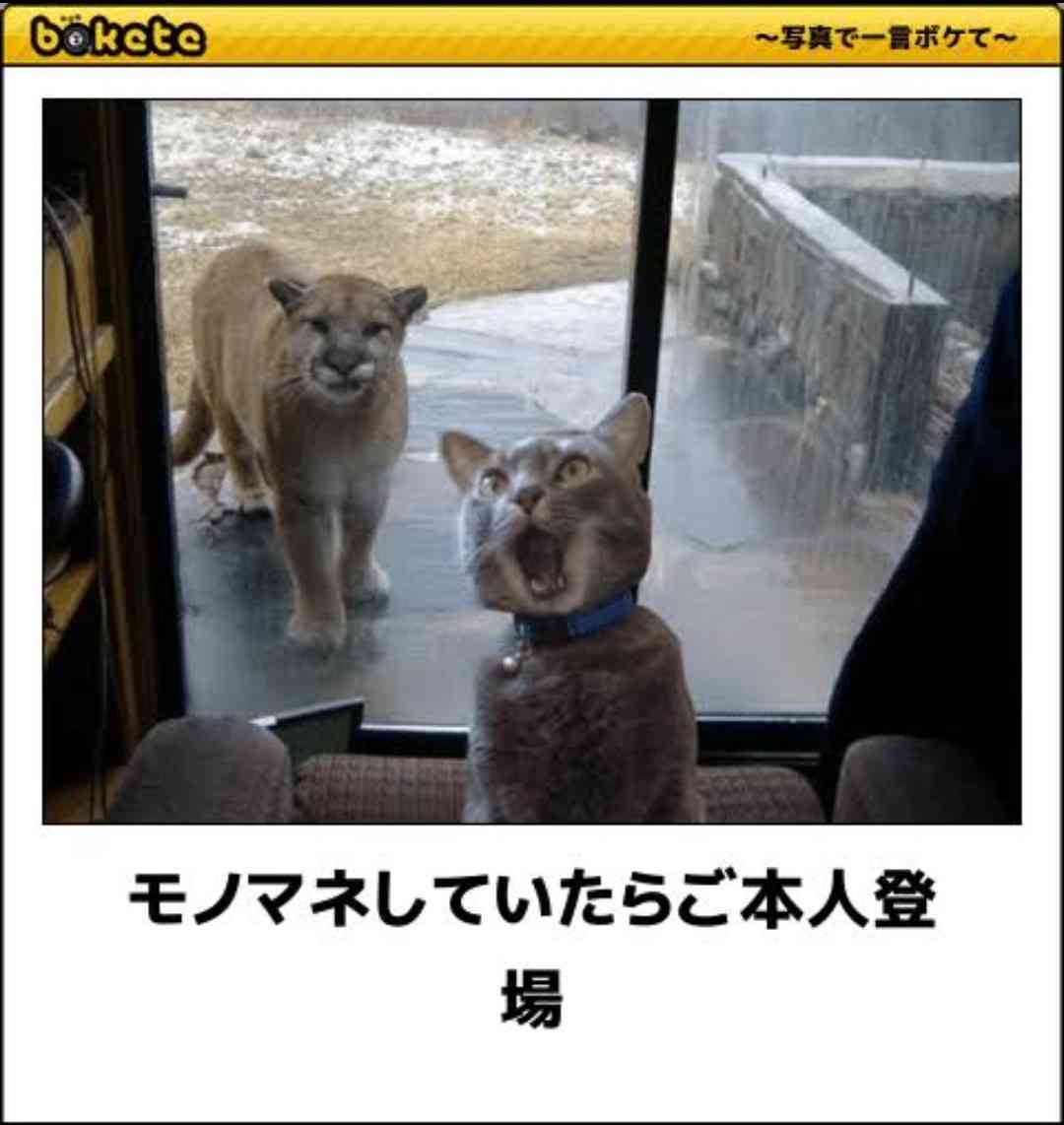boketeで1000コメ以上を目指そう！！Part3