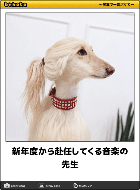 boketeで1000コメ以上を目指そう！！Part3