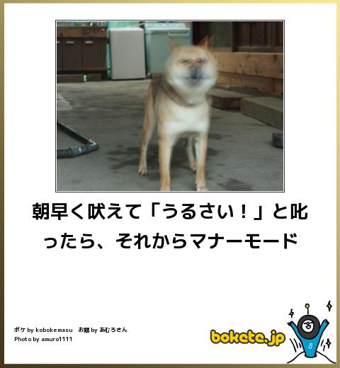 boketeで1000コメ以上を目指そう！！Part3