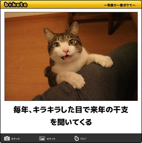 boketeで1000コメ以上を目指そう！！Part3