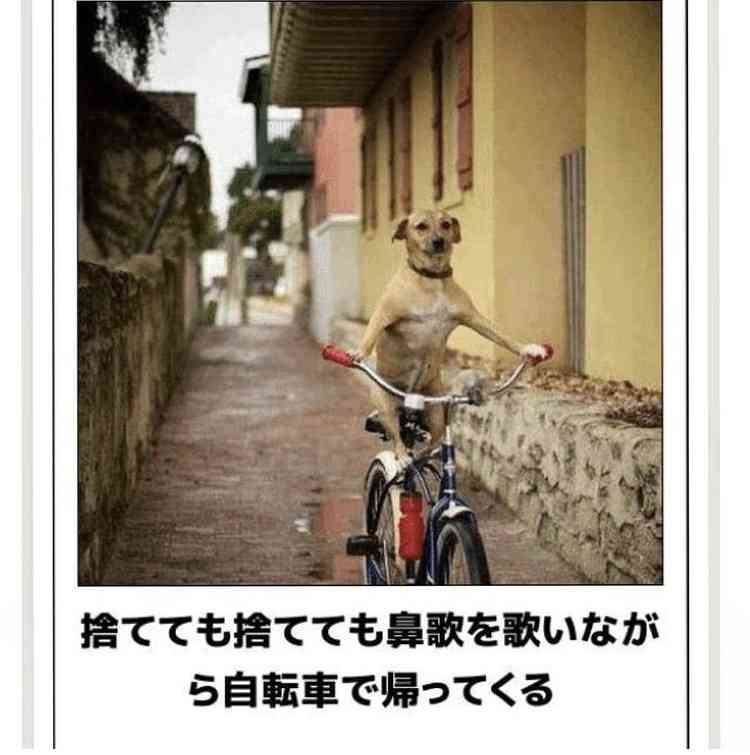 boketeで1000コメ以上を目指そう！！Part3