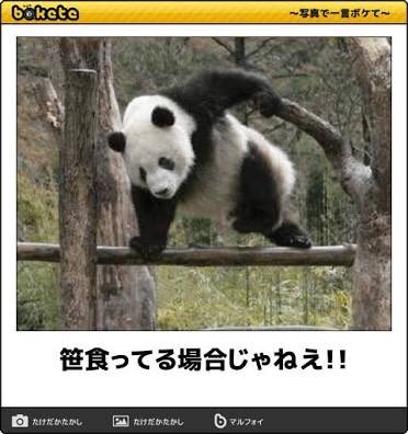 boketeで1000コメ以上を目指そう！！Part3