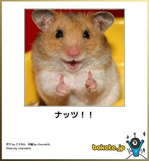 boketeで1000コメ以上を目指そう！！Part3
