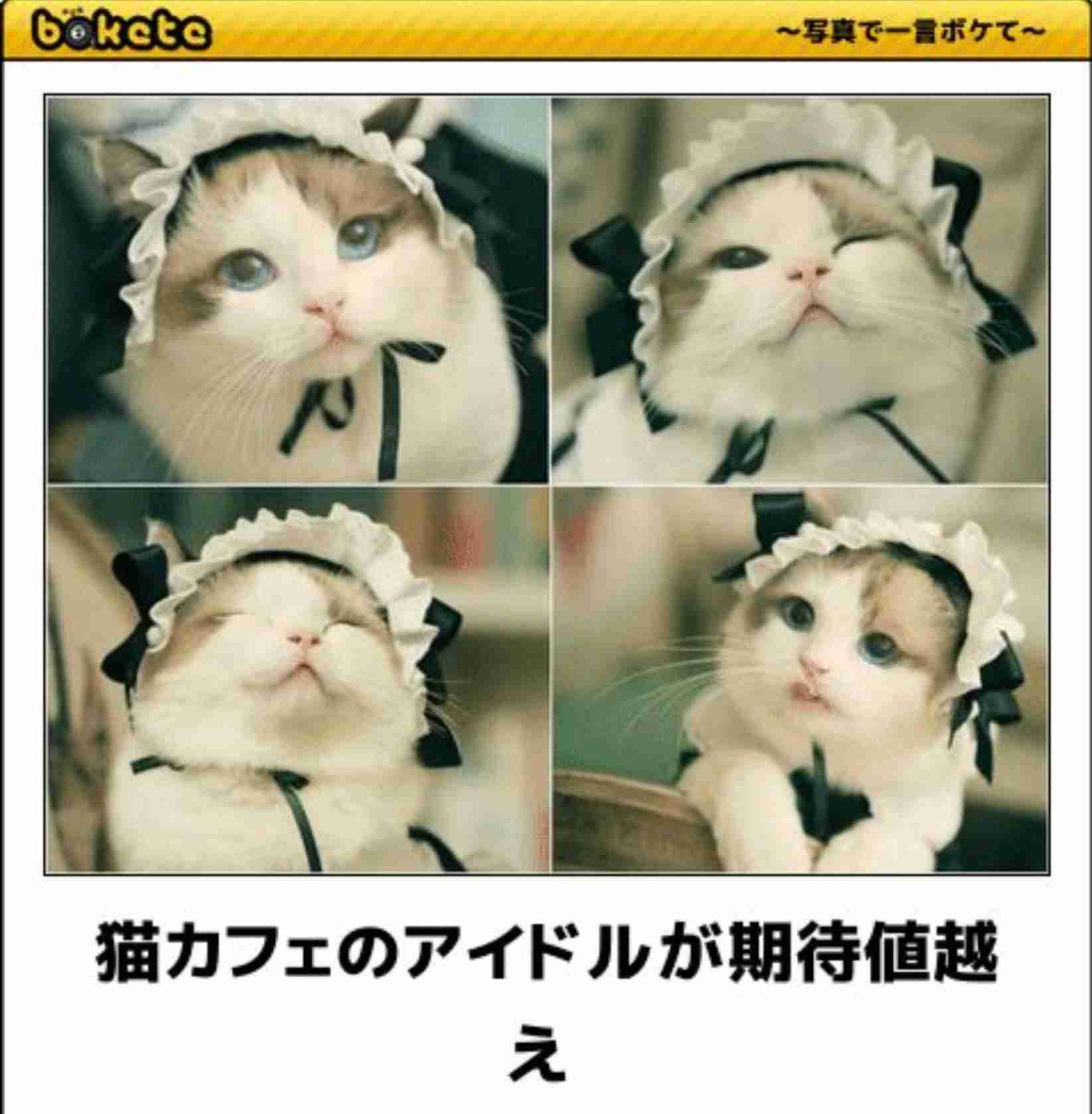 boketeで1000コメ以上を目指そう！！Part3