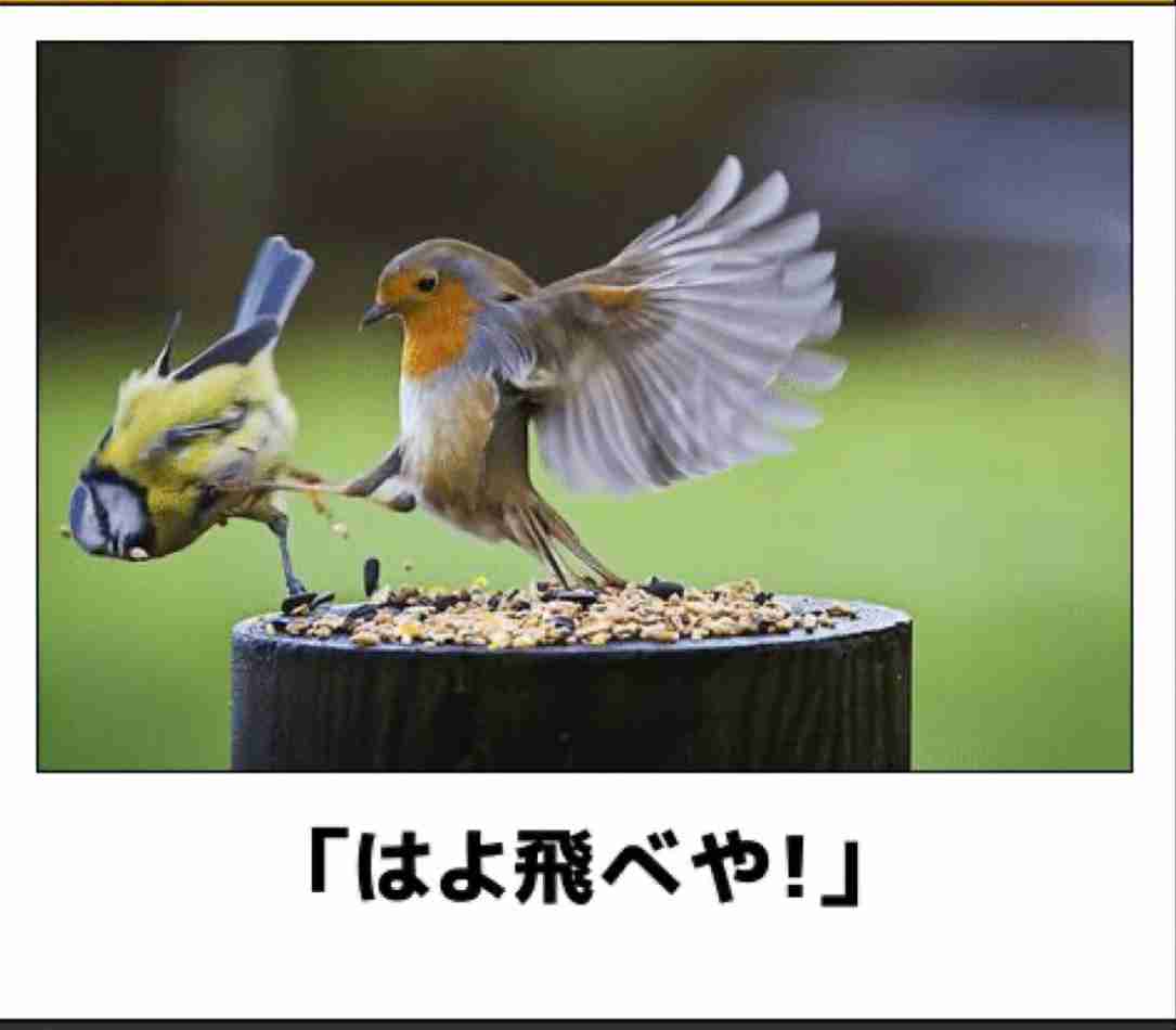 boketeで1000コメ以上を目指そう！！Part3