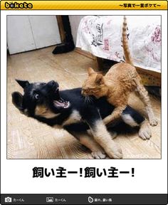 boketeで1000コメ以上を目指そう！！Part3