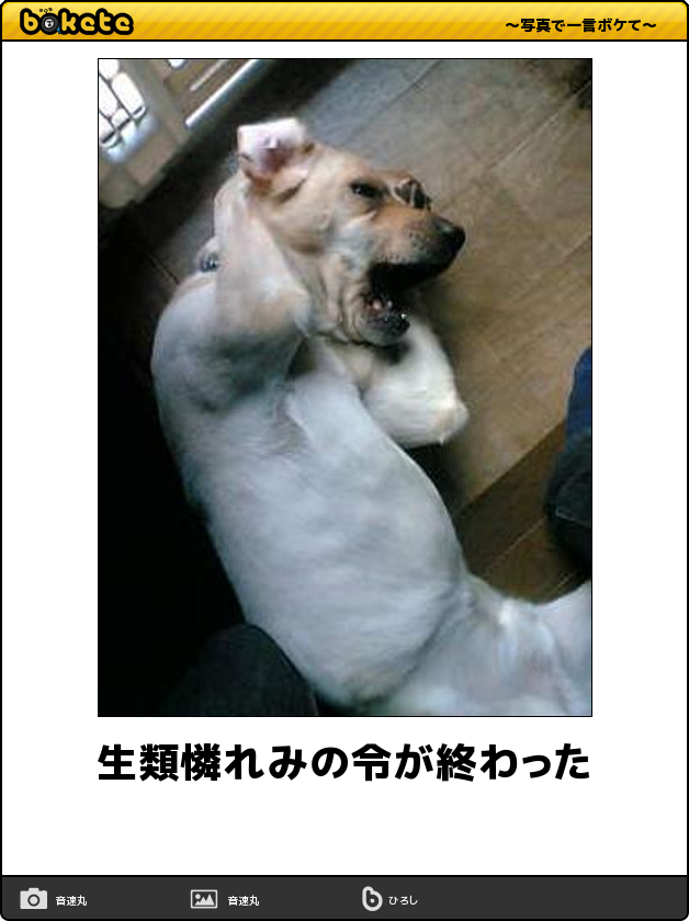 boketeで1000コメ以上を目指そう！！Part3