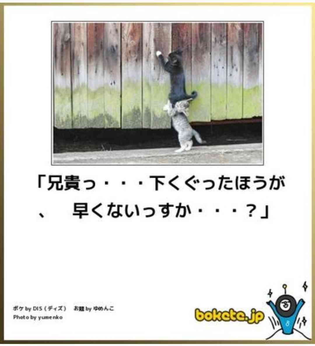 boketeで1000コメ以上を目指そう！！Part3