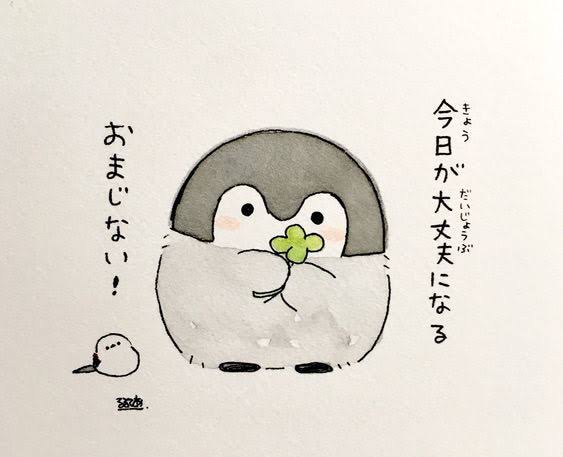日商簿記検定、受ける方【応援・雑談】