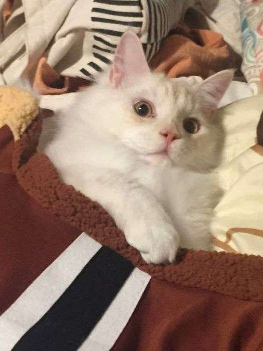 朝起きて一番最初にする事