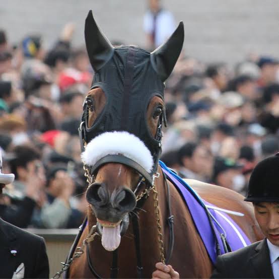 【天皇賞・秋】歴史的快挙！アーモンドアイが牝馬初の連覇＆史上最多の芝G18勝目　ルドルフやディープら名馬も果たせなかった“壁”突破