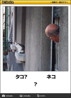 何度見てもじわじわくる画像part4