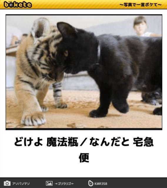 何度見てもじわじわくる画像part4