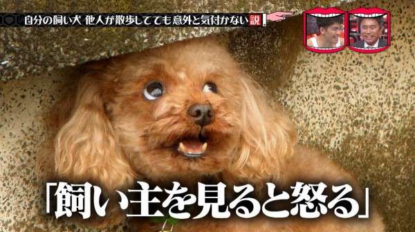 何度見てもじわじわくる画像part4