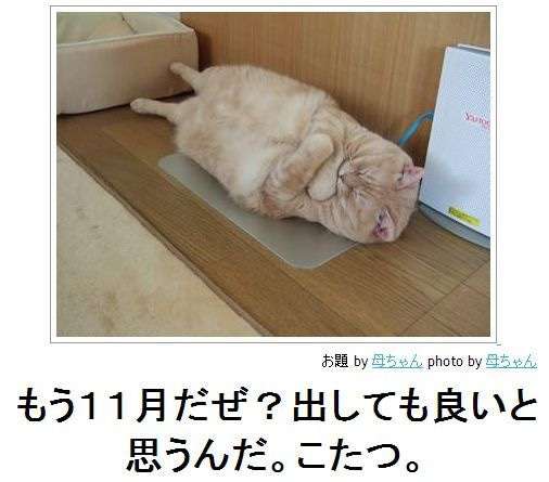 何度見てもじわじわくる画像part4