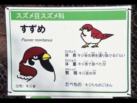 何度見てもじわじわくる画像part4