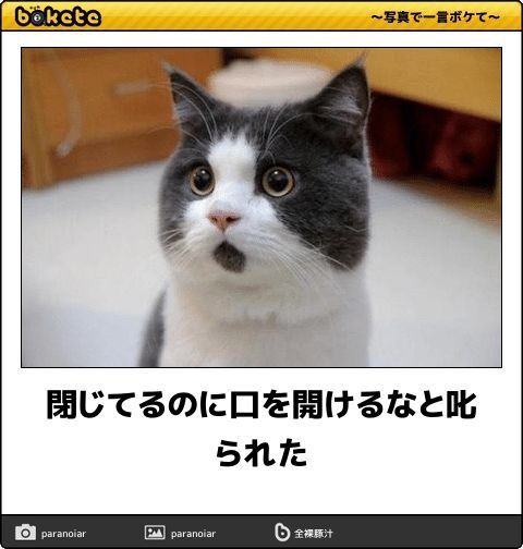 何度見てもじわじわくる画像part4