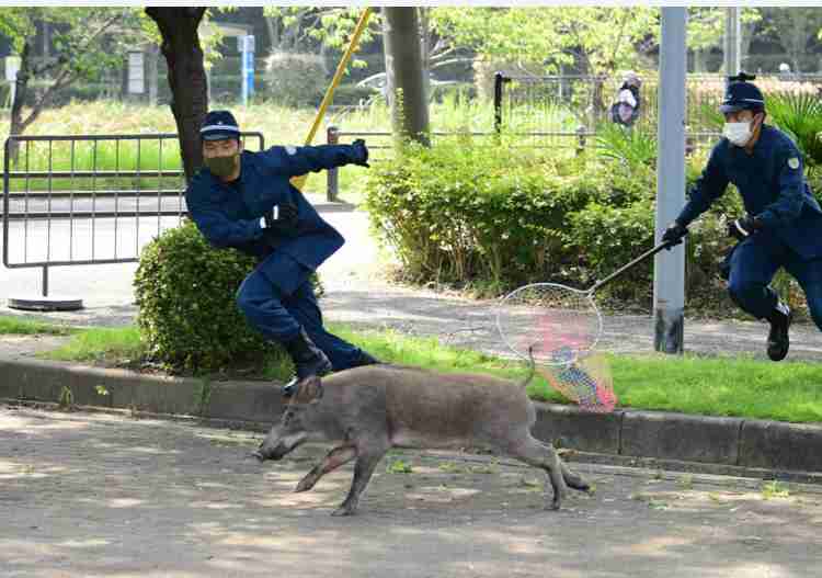 何度見てもじわじわくる画像part4
