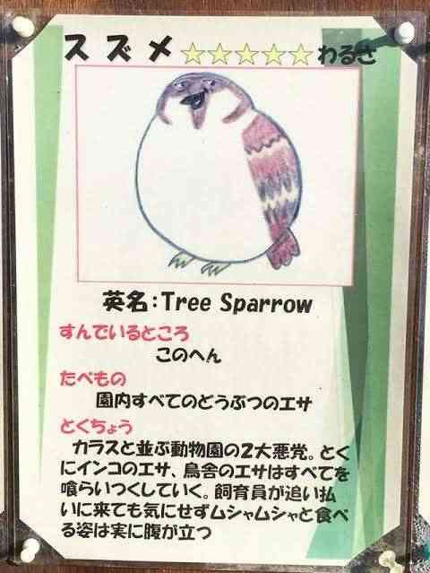 何度見てもじわじわくる画像part4