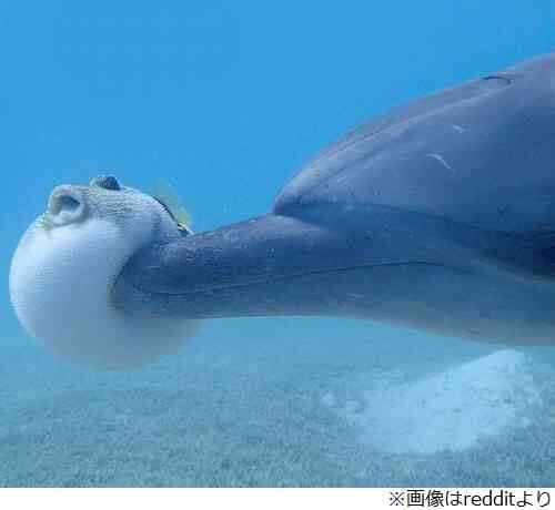 何度見てもじわじわくる画像part4