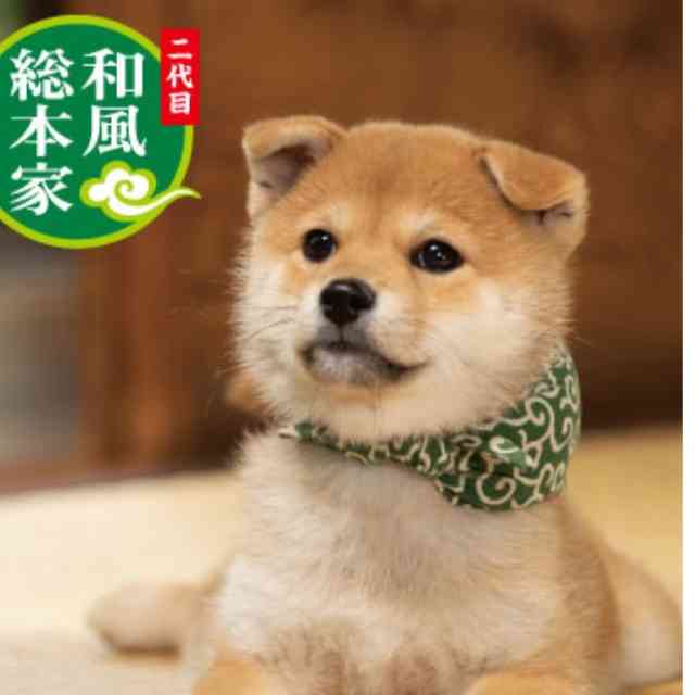 嫌な気分にならない番組