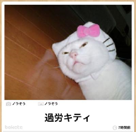 ごめん、私この画像ガルちゃんで何度も貼ってしまってます！って画像を正直に晒していくトピ part2