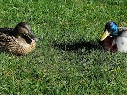 カップル 似てるor真逆 ガールズちゃんねる Girls Channel