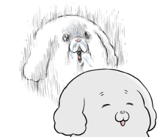 お気に入りのLINEスタンプと、LINE着せかえをどうぞ