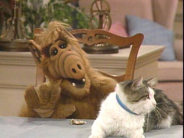 ロバート秋山竜次、ついに人間を辞める　まさかの姿に「爆笑した」「その発想はなかった」