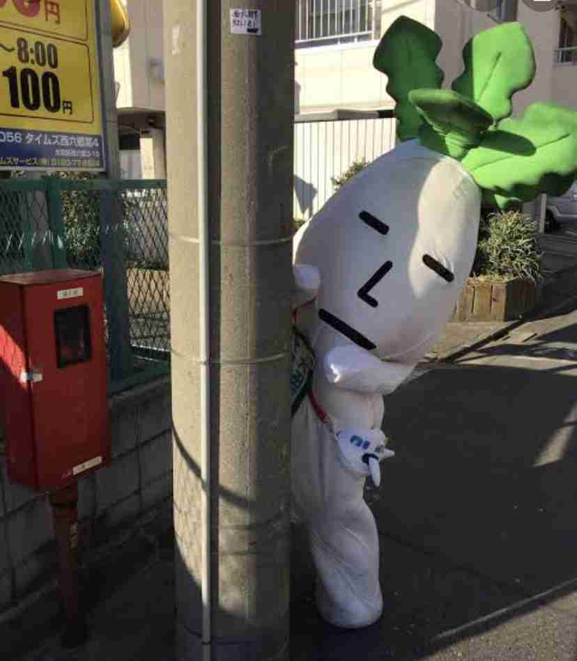 【ネタ】大根をスタイリッシュに持ち帰る方法
