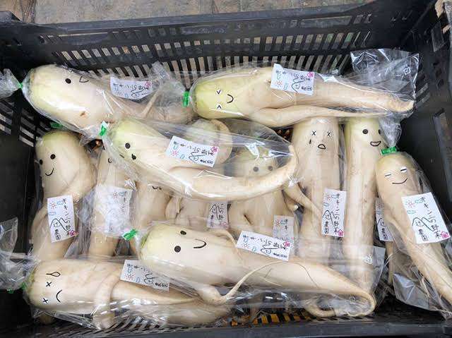 【ネタ】大根をスタイリッシュに持ち帰る方法